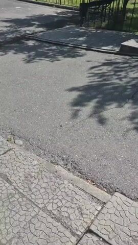 The video shows a street scene with trees casting shadows on the asphalt. A sidewalk with a patterned surface runs along the bottom of the frame. In the background, a metal fence encloses a grassy area with more trees and some buildings. There are also some benches and picnic tables visible in the park area. The scene appears to be an outdoor public space on a sunny day.