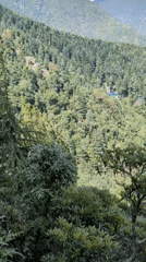 Mountain village life documented in Dharamkot, India morning scenes