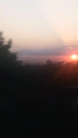 The video shows a sunset viewed from a moving vehicle. The sun is partially obscured by clouds, casting a warm, orange glow across the sky. Silhouetted trees and foliage are visible in the foreground, with a road or highway in the lower portion of the frame. The motion blur suggests the camera is in transit, likely on a road.