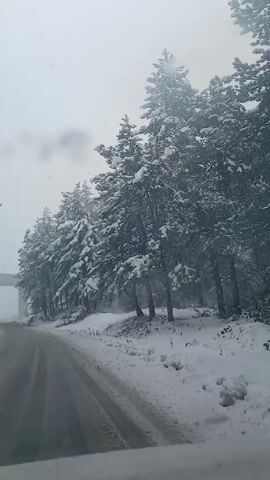 The video shows a wintry scene from a vehicle traveling on a snow-covered road. On either side of the road are snow-laden evergreen trees. The road surface is partially visible, revealing patches of gray pavement. In the distance, a concrete overpass structure can be seen. Snow is actively falling, contributing to the accumulation on the trees and ground. A vehicle is briefly visible heading in the opposite direction.
