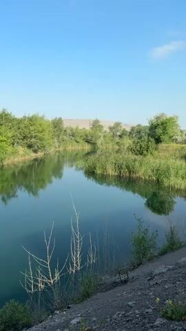 The video shows a tranquil scene of a body of water surrounded by lush greenery. The water is calm and reflects the surrounding trees and the clear blue sky. Tall reeds and grasses grow along the water's edge, and a few bare branches protrude from the foreground. In the distance, rolling hills can be seen under the vast sky. The overall impression is one of natural beauty and serenity.