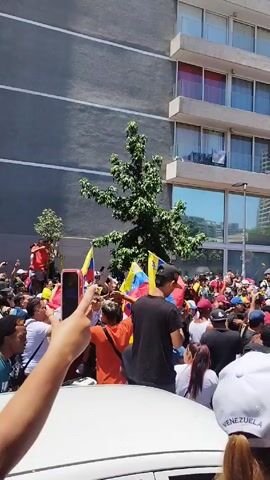 The video shows a large crowd of people in front of a tall building, waving Venezuelan flags. Many are holding up cell phones to record or photograph the scene. The building is modern, with multiple floors and glass windows. The crowd is dense, and people are wearing a variety of clothing. There are trees interspersed among the crowd.