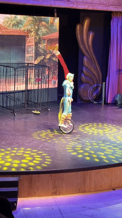 Circus performers take the stage in Serik under colorful lights