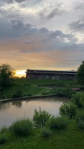 The video shows a serene landscape at dusk. A small pond occupies the foreground, surrounded by lush green grass and bushes. Behind the pond, a grassy slope leads up to a long, one-story building with a flat roof. The building is adorned with colorful murals along its facade. The setting sun casts a warm glow over the horizon, illuminating the clouds with hues of orange and yellow. The sky is partially covered with grey clouds. The scene is still and peaceful.