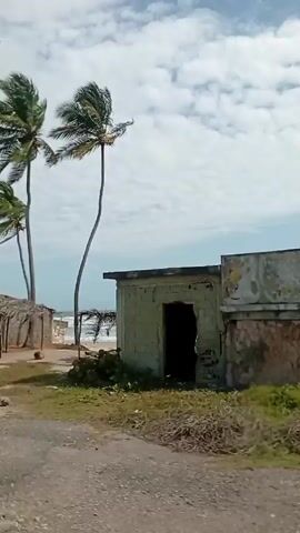 The video shows a drive along a coastal road. There are structures, some appearing rundown, and palm trees. The ocean is visible in the background, with waves. The sky is partly cloudy. There is a grassy area with some poles and what appear to be the remnants of structures. There are no people visible. The sound of the wind is prominent.