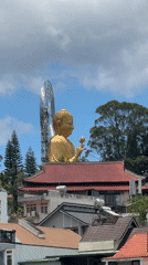 Golden Buddha statue with flower observed on Đà Lạt rooftop