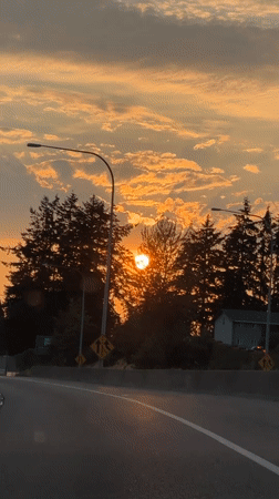 Sunset highway drive through Tacoma's tree-lined outskirts