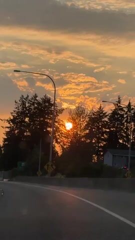 The video is a first-person perspective shot from a moving vehicle on a highway. The sun is setting, casting a warm, orange glow across the sky and illuminating the clouds. Tall trees line the side of the road, with some houses visible in the distance. Traffic signs are also visible, indicating lane merges. The camera pans slightly, capturing the dynamic scenery as the vehicle continues its journey.