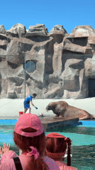 A busy morning working through a zoo's full lineup of animals