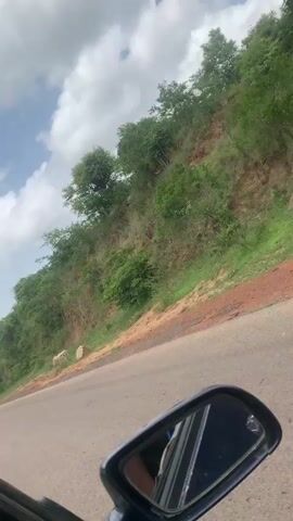 The video is captured from the perspective of someone inside a car, looking out the side mirror and to the right. The car appears to be in motion on a paved road that curves to the left. To the right of the road, there is a steep, vegetated hillside. The hillside is covered with trees and bushes, and there are patches of exposed red earth. Two light-colored animals, possibly sheep or goats, are visible on the hillside. The sky is partly cloudy with white cumulus clouds against a blue sky. The side mirror reflects the interior of the car, including what appears to be a person's arm and shoulder. The overall impression is of a scenic drive through a hilly, natural environment.