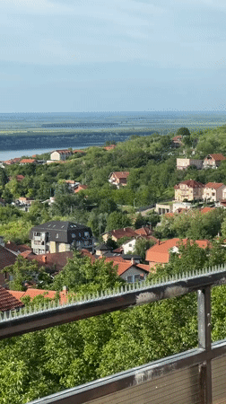 Witness documents afternoon scenes across Palilula residential areas, Serbia