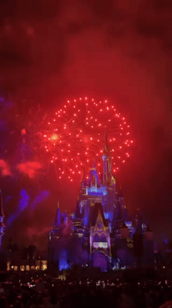 Disney World fireworks show illuminates Cinderella Castle for crowds