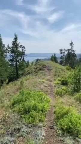 Here is a description of the video:

The video captures a scenic view from a hilltop. The camera pans across the landscape, revealing a dirt path leading along the crest of the hill, surrounded by lush greenery and scattered pine trees. In the distance, a town sits nestled amidst the forest, with rolling hills visible in the background. The sky is blue with scattered clouds. The video conveys a sense of tranquility and natural beauty.