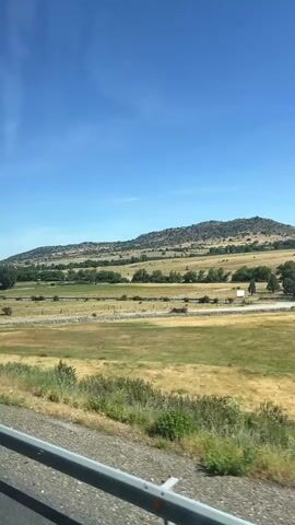The video shows a moving vehicle's view of a rural landscape under a clear blue sky. In the foreground, a metal guardrail is visible, suggesting the perspective is from a road or highway. The middle ground features a wide expanse of fields, predominantly dry and yellowish-brown with patches of green vegetation. Scattered trees and bushes dot the landscape, and a low stone wall or fence runs across a section of the field. In the background, a gently sloping hill or mountain range is covered in sparse trees and vegetation. The overall impression is of a sunny, open, and somewhat arid rural environment.