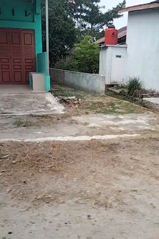 The video pans across an outdoor scene. In the foreground, a concrete surface is visible, appearing worn and somewhat dirty. To the left, a building with large glass doors and green shutters is seen. Further to the left, a white building with a red water tank on top is present, surrounded by greenery. The video then shifts to show a street with a sign that appears to be in a foreign language, and some wooden structures. Another building with large wooden doors is visible, followed by a wider shot of the street. Finally, the video shows a small house with a brown door and windows, surrounded by vegetation and what appears to be litter on the ground. There are no people clearly visible in the footage.