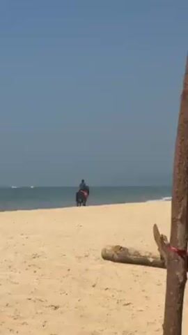 On a sunny day, a person rides a horse along a sandy beach. The horse and rider are positioned near the shoreline where the water meets the sand. In the distance, there are two boats visible in the water. A piece of driftwood lies in the foreground near the right side of the frame. The sky is clear and blue.