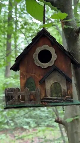 A wooden birdhouse with a dark roof, a flower-shaped entrance, and a small porch with a green door and fence hangs from a tree branch. The camera slowly zooms out, revealing the lush green forest environment with more trees and foliage in the background.