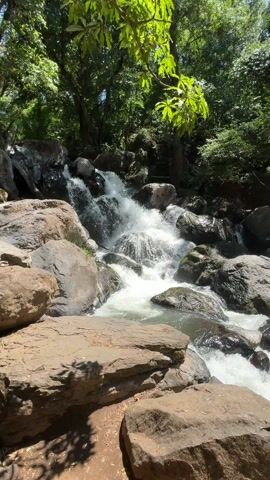 The video shows a small waterfall cascading over large rocks in a lush, green forest. Sunlight filters through the trees, illuminating the water as it rushes down the rocks, creating a dynamic and vibrant scene. The rocks are various shades of gray and brown, contrasting with the bright green foliage. The sounds of the rushing water dominate the audio.