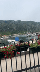 Typical morning scenes documented across Kotor's waterfront and streets
