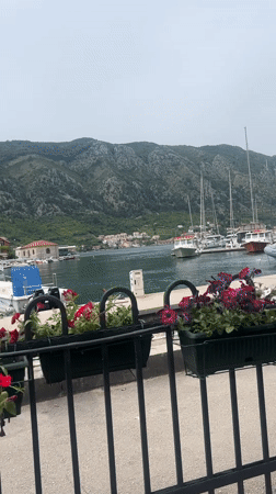 Typical morning scenes documented across Kotor's waterfront and streets