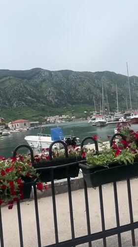 Typical morning scenes documented across Kotor's waterfront and streets