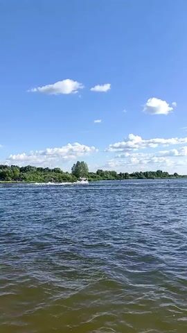 This is a vertical video shot on a bright, sunny day with a clear blue sky and fluffy white clouds. The video captures a wide expanse of blue water, likely a lake or river, with gentle ripples on the surface. In the background, a lush green shoreline is visible, dotted with trees and foliage. On the water, several people are engaged in water sports. To the left, a white SUV is driving along the shoreline, possibly pulling a watercraft. Further out on the water, individuals are wakeboarding or waterskiing, leaving white wakes behind them. The overall impression is one of a recreational day spent on the water.