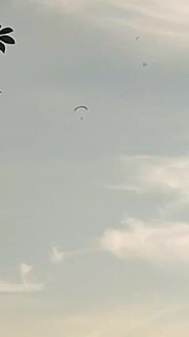 A paraglider is visible in the sky. The paraglider is small and appears to be in the upper middle section of the frame. The sky is a pale blue with some wispy white clouds. In the upper left corner of the frame, a portion of a green leafy object is visible, possibly a tree or a plant. There are also a few small dark specks in the sky which may be birds or insects. The overall lighting suggests it is daytime, possibly late afternoon or early morning given the soft light.