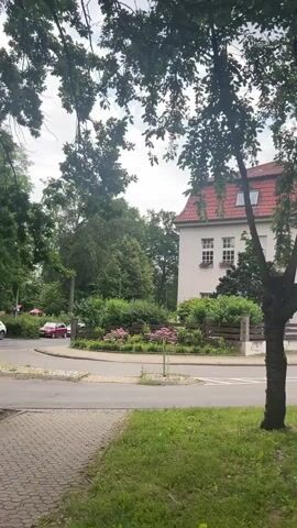 The video shows a street view with houses and trees. There is a sidewalk and a road. A red car is seen driving on the road. The sky is cloudy. The camera is moving forward, capturing the scene.