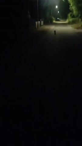 A dark, unlit road is visible at night. The camera appears to be moving, possibly indicating someone is walking or driving. In the distance, a single streetlight illuminates a small section of the road, revealing a silhouetted figure or animal standing in the middle of the asphalt. The figure is dark and indistinct, making it impossible to determine its identity. The surrounding environment is mostly obscured by darkness, with hints of trees or foliage along the sides of the road. The scene creates a sense of mystery and perhaps unease due to the low light conditions and the solitary, unknown figure.