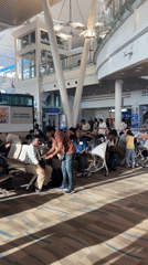Morning transit through Phuket Airport's terminal and duty-free shops