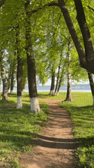 Quiet morning scenes documented across Votkinsk lakeside areas