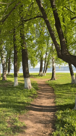 Quiet morning scenes documented across Votkinsk lakeside areas