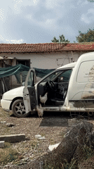 Chickens Found Inside Van in Bulgarian Village Yard