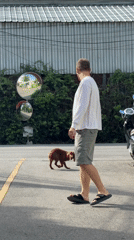 Lazy morning at home with a dog and yo-yo practice