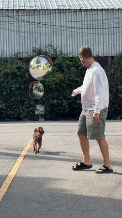 Lazy morning at home with a dog and yo-yo practice