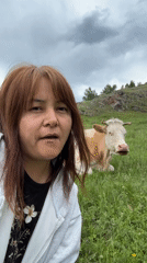 Woman documents pastoral visit with grazing cattle in countryside