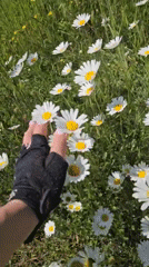 Sunny day activities: gardening, soccer, highway driving documented