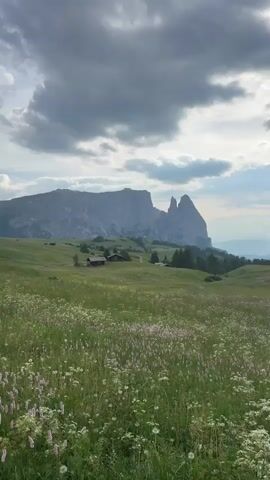 This media file captures a serene mountain landscape in Kastelruth - Castelrotto, Italy. The scene is a vast, verdant meadow teeming with wildflowers, predominantly pink and white blossoms. In the mid-ground, several rustic wooden cabins with dark roofs are nestled amongst rolling green hills, suggesting a tranquil rural setting. A winding dirt path is visible, connecting these structures.

Towering in the background are majestic, rugged mountains, their imposing grey rock faces contrasting with the soft green of the foreground. The sky is dramatic, filled with a mix of light and dark grey clouds, hinting at a dynamic weather system. The lighting suggests it is either early morning or late afternoon, with the sun intermittently breaking through the clouds, casting a soft, diffused light on the landscape.

No people or specific objects beyond the cabins are discernible. The overall mood is one of peacefulness and natural beauty, evoking a sense of calm and solitude. The location cues, such as the distinctive mountain formations and the architectural style of the cabins, strongly indicate the Italian Alps. There is no visible text in the media file.
