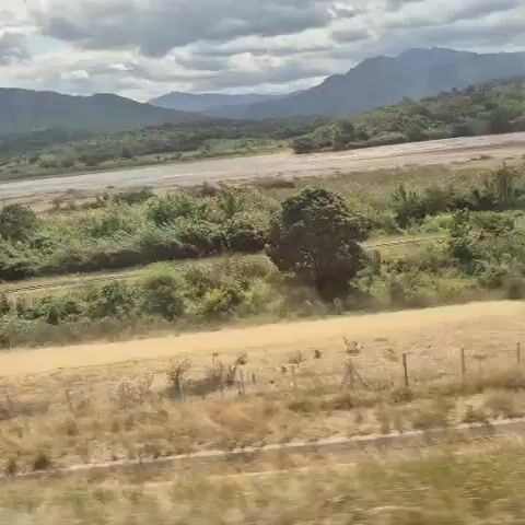 A landscape view from a moving vehicle, likely a train, captures a rural scene with a meandering body of water in the distance, flanked by lush green vegetation and rolling hills under a cloudy sky. In the midground, a dirt path runs parallel to what appears to be a set of train tracks, bordered by dry grass and scrub. The foreground is dominated by dry, pale earth and sparse vegetation, with a simple wire fence partially visible. The overall impression is one of a natural environment with signs of human infrastructure.