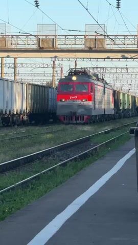 A red and gray electric locomotive, labeled with Russian text and the number 895, pulls a long freight train through an outdoor railway station. The train moves from left to right across the frame. The locomotive has its headlights on. In the foreground, a concrete platform with a white stripe runs along the right side of the track. To the left of the track, green grass and other vegetation are visible. Overhead, power lines and a metal structure are present. A person in a dark shirt stands on the platform near the right edge of the frame, facing away from the camera. Another person is visible further down the platform to the right.