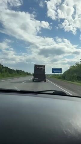 A vehicle travels on a road behind a trailer with horses. The trailer is moving forward on the right lane of a two-lane road. The road has a solid white line on the right shoulder and a dashed white line separating the two lanes. There are green trees and bushes on the side of the road, and a cloudy sky above. There is a blue sign on the right side of the road. The video is shot from inside a car, looking through the windshield. The dashboard is visible at the bottom of the frame.