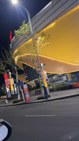Routine grocery shopping documented at Jiangjin supermarket
