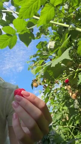 A young woman is shown close-up, eating a raspberry outdoors. She holds the raspberry to her lips, then pops it into her mouth. She chews and then makes a kissing motion. The background shows green leaves and a blue sky with some clouds. She is wearing a light-colored t-shirt.