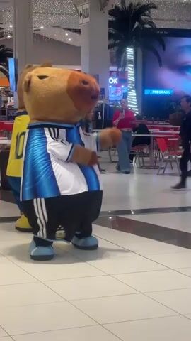 The video shows two people in mascot costumes, one dressed in Argentina's national soccer team colors and the other in Brazil's. The Argentina mascot is in the foreground, facing right, with its arms crossed. The Brazil mascot is behind and to the left of the Argentina mascot, facing right and appearing to lean in towards the Argentina mascot. They are standing on a white tiled floor in what appears to be a shopping mall or public indoor space. In the background, there are palm trees, tables and chairs, and a large screen displaying an image. Several other people are visible in the background, including a woman in a red top and blue pants taking a picture with her phone, and a person in a black shirt and pants walking away. The lighting suggests an indoor environment, possibly illuminated by overhead lights and the large screen.