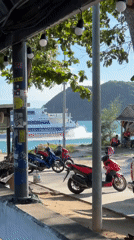 Busy morning at Koh Phangan's ferry pier, boats and all.