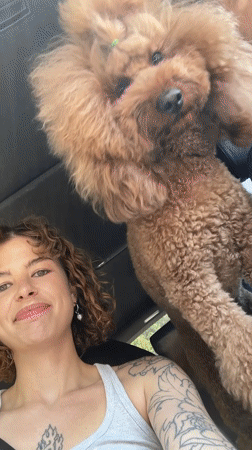 Woman films selfies with playful poodle in Montenegro