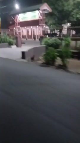 A person is filming at night from a slightly elevated perspective of a road. On the right side of the road is a building with a red roof and lights on. There is an archway entrance to the building. A dark-colored vehicle is parked in front of the building. On the left side of the road are some plants and a flag. The road is dark and appears to be made of asphalt. There are streetlights visible, illuminating the scene. The camera is moving, indicating the person is likely walking or driving.
