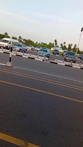The video shows a wide shot of a parking area on a paved road. The road is marked with yellow and white lines. Numerous cars are parked in designated lanes, separated by black and white striped bollards. A white van and several light-colored sedans are visible among the parked vehicles. In the background, palm trees dot the horizon, and a few small buildings can be seen. Streetlights illuminate the area. The sky is bright, indicating it might be daytime. The camera slowly pans, providing a view of the entire parking area. There is no visible movement of people or cars.