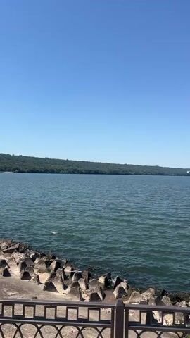 A vertical video pans across a wide body of water under a clear blue sky. On the left, concrete breakwaters line the shore, followed by a black metal railing and a paved walkway. A man stands on the right side of the walkway, looking out at the water. In the middle ground of the water, several people are visible, appearing to be swimming or wading. Further in the distance, a tree-covered hillside forms the far bank of the body of water, with buildings dotting the shoreline. Several lampposts are visible along the walkway.