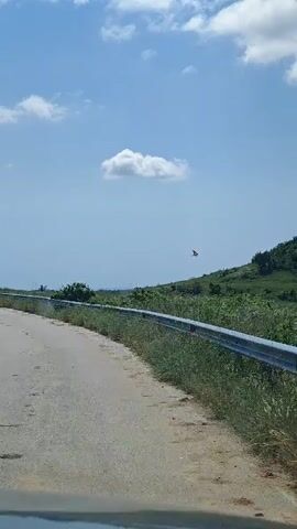 The camera captures a rural landscape from inside a moving vehicle. A metal guardrail runs along the bottom of the frame, separating the road from a grassy area with some weeds. Beyond this, a green, tree-covered hill dominates the midground, with a clear blue sky and scattered white clouds above. The vehicle passes by the hill, revealing more of the rolling green landscape in the distance. The sun is shining, indicating daytime.